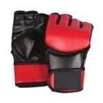 MMA Gloves